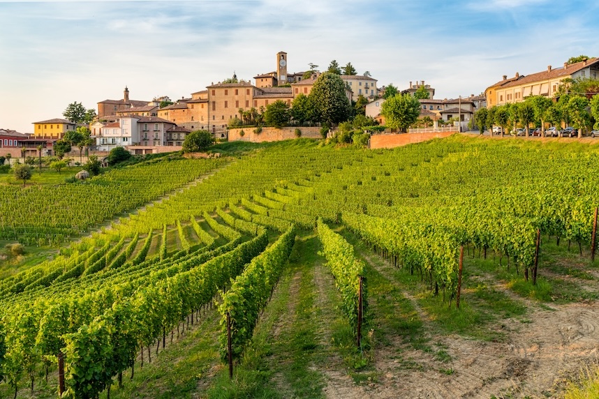 Die groen Weine des Piemont: intensive Rotweine und berraschende Weiweine